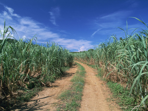 44241 (a): :1600x1200